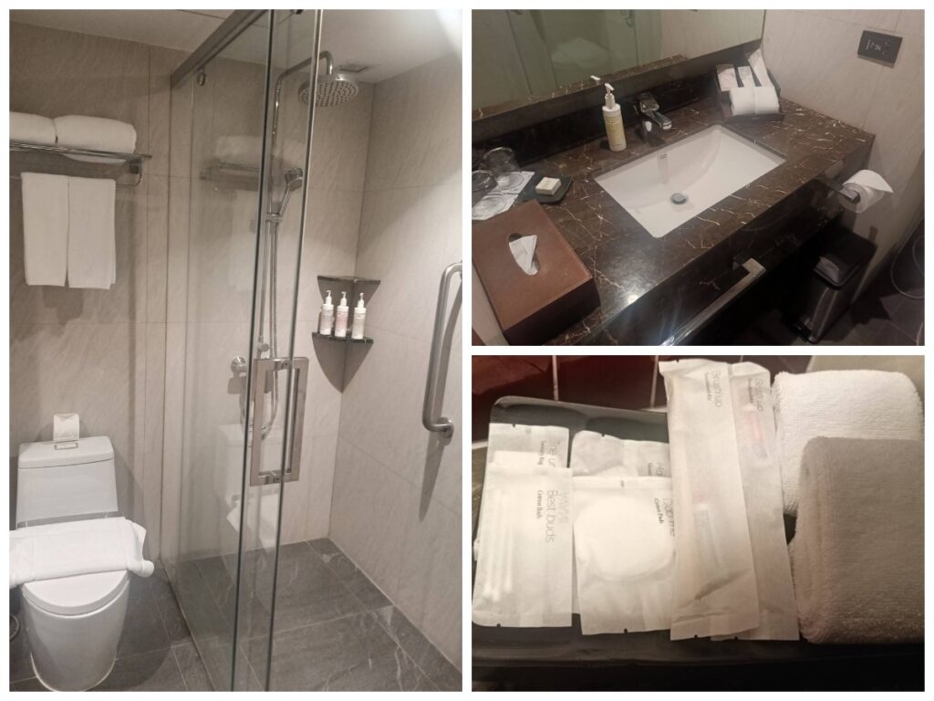 アヴァニラチャダー・デラックス スカイライン バスルーム